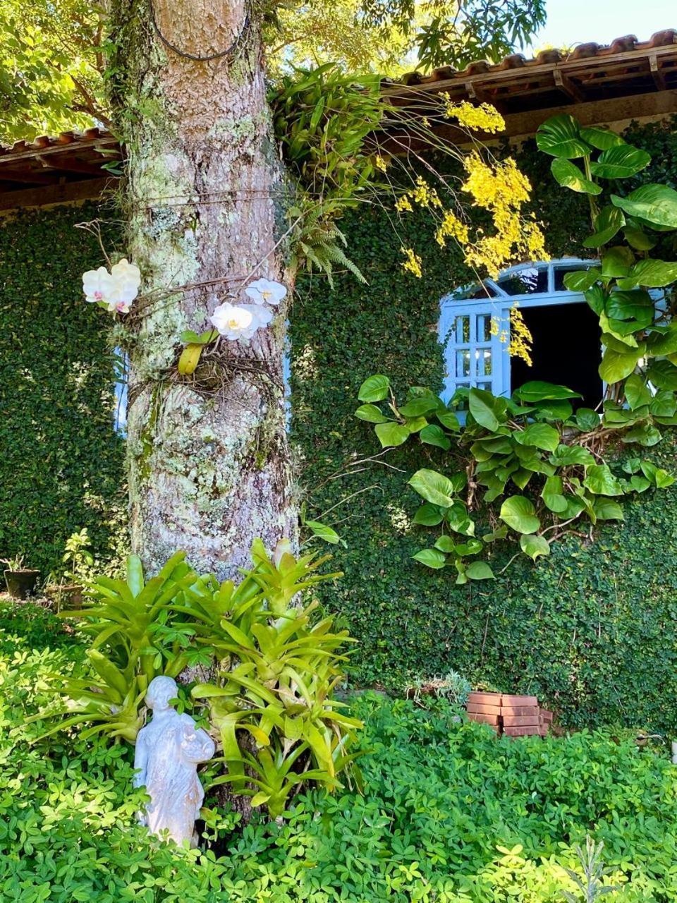 Pousada Casa Do Ipe Amarelo Miguel Pereira Zewnętrze zdjęcie